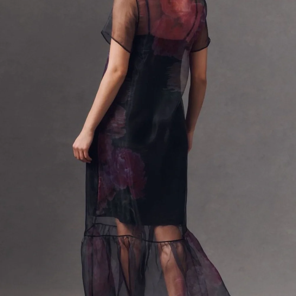 BHLDN Carina Short-Sleeve Organza Dress - Picture 3 of 7